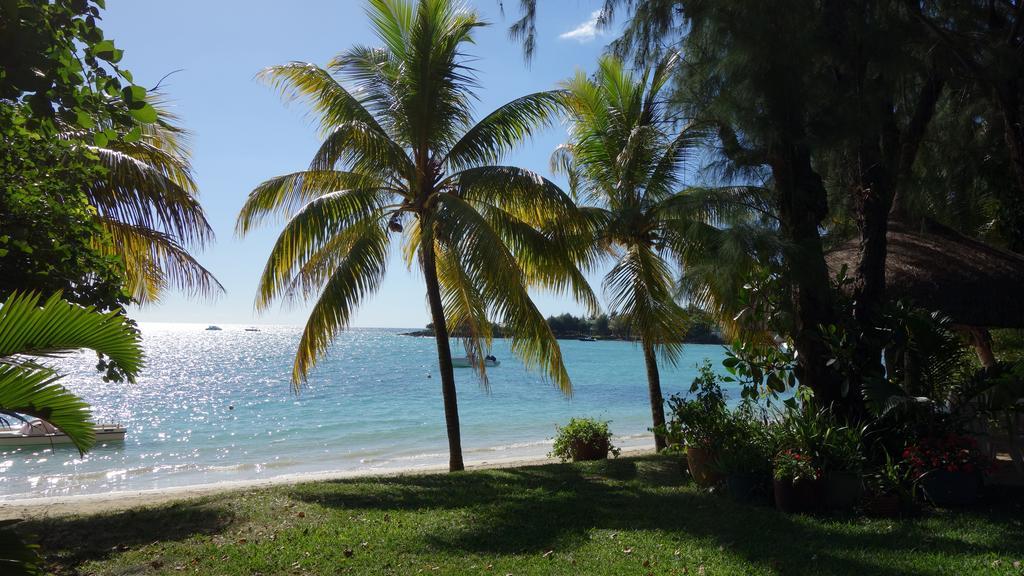 Coconuts Villa Grand Baie Exteriör bild